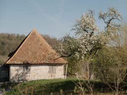 Alte Kelter Ansicht Alte Kelter außen